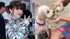 林吟蔚、若盈。（圖／翻攝自林吟蔚、若盈IG）