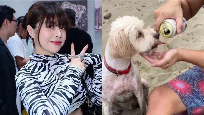 若盈拍片「餵狗喝酒」 安迪愛女45字開砲