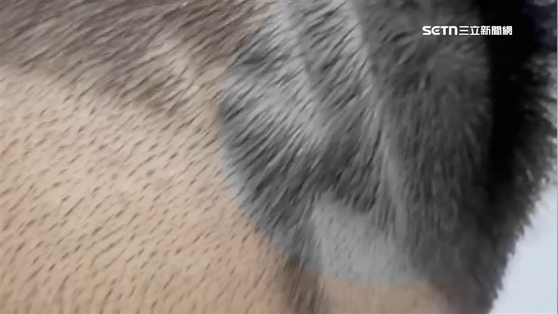小男童去剪頭髮，頭皮卻被割傷
