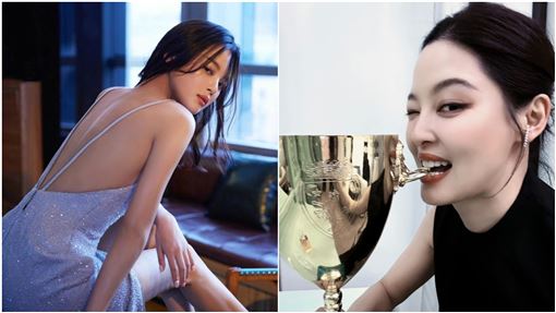 女星諷辛芷蕾扯髮拿影后　突改口稱不是她