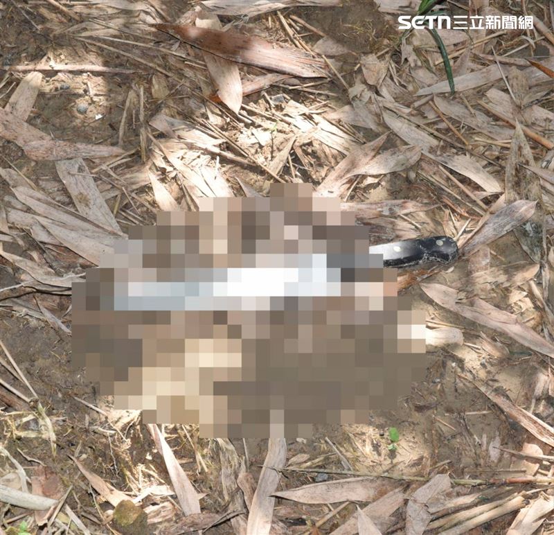 菲籍逃逸移工持水果刀砍死李男後，將凶刀丟在附近後逃逸。（圖／翻攝畫面）