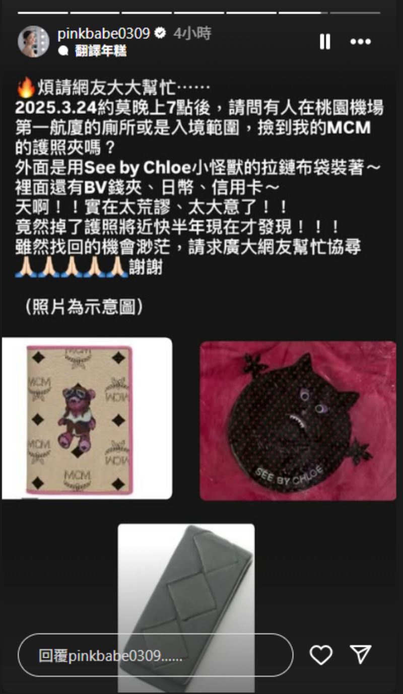 楊千霈知道希望渺茫但仍貼出遺失物的示意圖。(圖/翻攝自IG @pinkbabe0309)