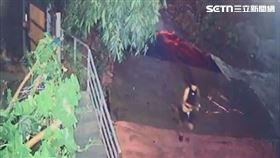 李男,命案,菲籍移工,逃逸,亂刀,砍死,命案,台中（圖／翻攝畫面）