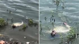 水壩驚見浮屍！大批警力到場　屍體「突然活起來」（圖／翻攝自IG）