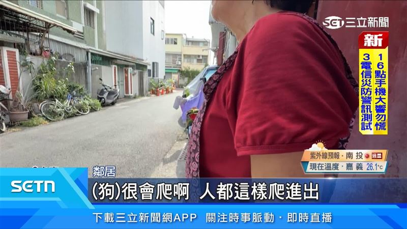 鄰居表示狗狗活動力旺盛很會爬