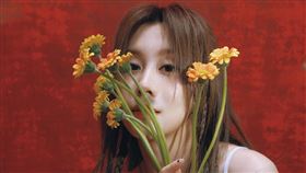 白安新專輯巡演「路邊野餐」。（圖／相信音樂提供）