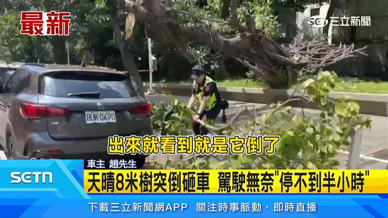 車主無奈只是想逛一下衛浴用品店，不到半小時就接獲車輛被樹壓的消息