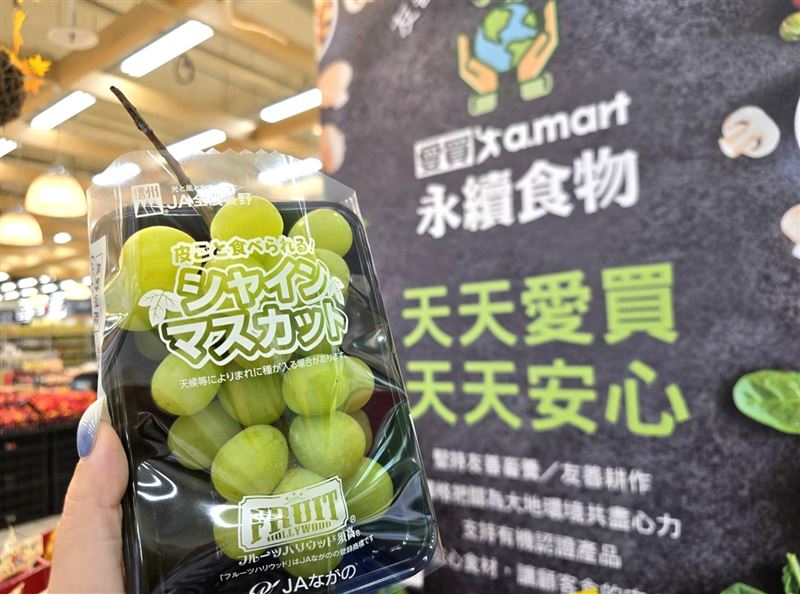 日本長野麝香葡萄即日起至9月21日限時限量每盒299元。（圖／品牌業者提供）