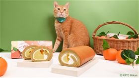 亞尼克YTM前進高雄捷運，聯名貓界天王「蜜柑站長」，推出元氣蜜柑生乳捲，9月17日全台開賣。（圖／品牌業者提供）