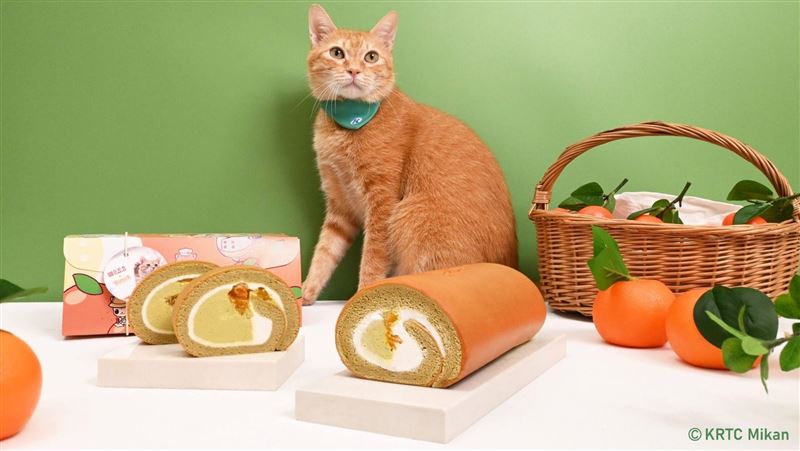 亞尼克聯名蜜柑站長　推限量必吃生乳捲