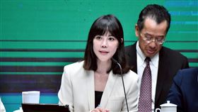 行政院發言人李慧芝。（圖／行政院提供）