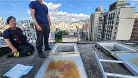 台北,文山區,水塔,腐屍,頂樓。（圖／翻攝畫面）