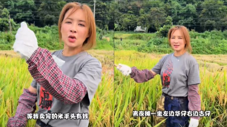 麥家琪還幽默對鏡頭喊話：「等我賣完米後手裡有錢，宵夜攤一坐，左邊劉德華，右邊古天樂，問你怕不怕！」。（圖／翻攝自麥家琪　TikTok）