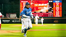 富邦悍將張育成。（圖／富邦悍將提供） 