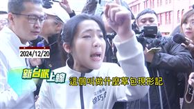 《財劃法》出包，藍營坦稱「計算公式有錯」,苗博雅批：草包現形記。（圖／翻攝新台派上線）