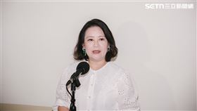 民進黨團幹事長吳思瑤朝野協商前受訪。（圖／記者楊士誼攝影）