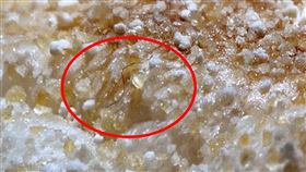 麥當勞,廣告,滿福堡(圖／讀者授權提供）