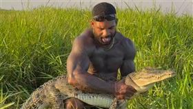 霍爾斯頓在沼澤裡追趕一隻他稱為是鹹水鱷的幼年鱷魚，並將其擒獲，引發爭議與動保人士撻伐。（圖／翻攝自IG @therealtarzann）