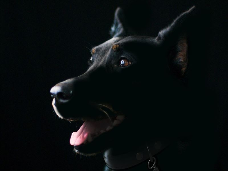 國道一號嘉義段發生一起離奇車禍