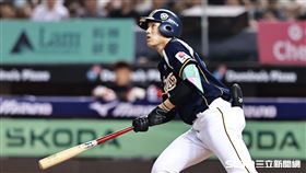 中職36年例行賽，中信兄弟左外野手許庭綸敲出職棒生涯首轟。（圖／記者劉彥池攝影）