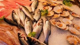 魚,海鮮（圖／Pixabay）