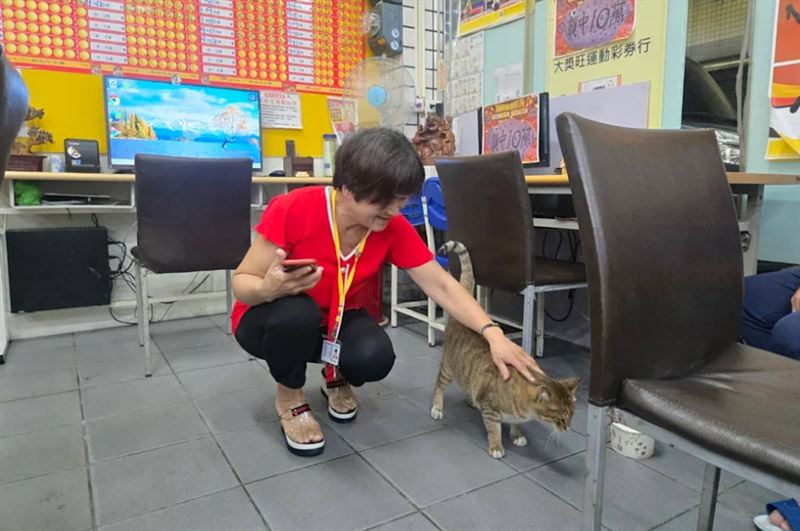 台中「旺萊旺彩券行」開出大樂透頭獎，3.15億元由1人獨得。（圖／彩券行提供）