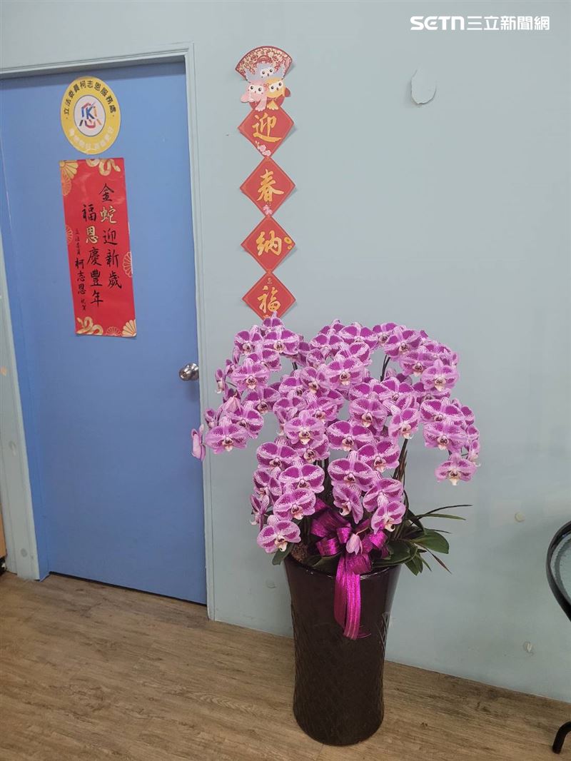 柯志恩服務處擺放著陳情人贈送的蘭花。（圖／柯志恩辦公室提供）