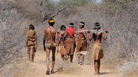 最新研究顯示，直立人在智人出現前，就能適應東非高原的乾旱劇變，並發展新策略與工具，展現驚人生命力，若把現代人丟進直立人的世界，恐怕人人都是「爛草莓」，因為他們能在乾旱半沙漠中生存百萬年，而我們冷氣壞掉，沒有WIFI就受不了。（示意圖／PIXABAY）