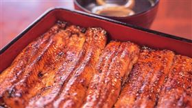 鰻魚飯 圖／pixabay