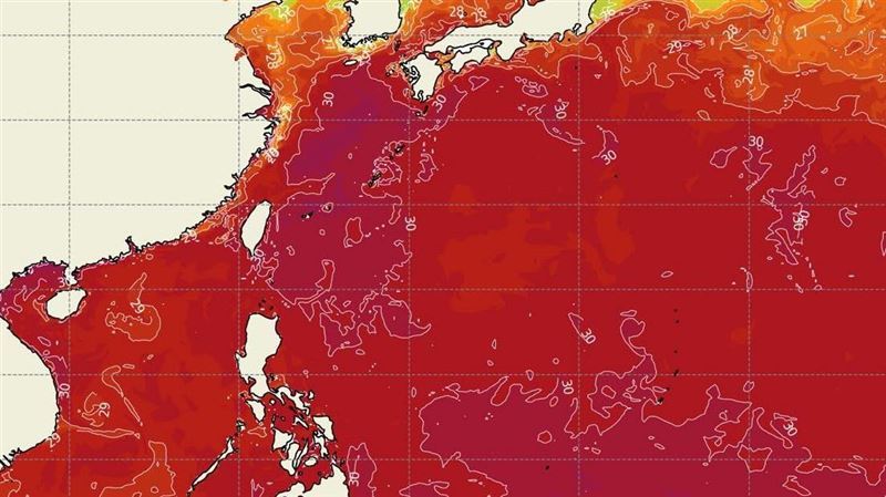 海溫燙到紅爆！專家曝：颱風將活躍到月底