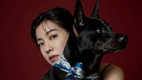 米可白相當疼愛狗狗。（圖／翻攝自米可白IG）