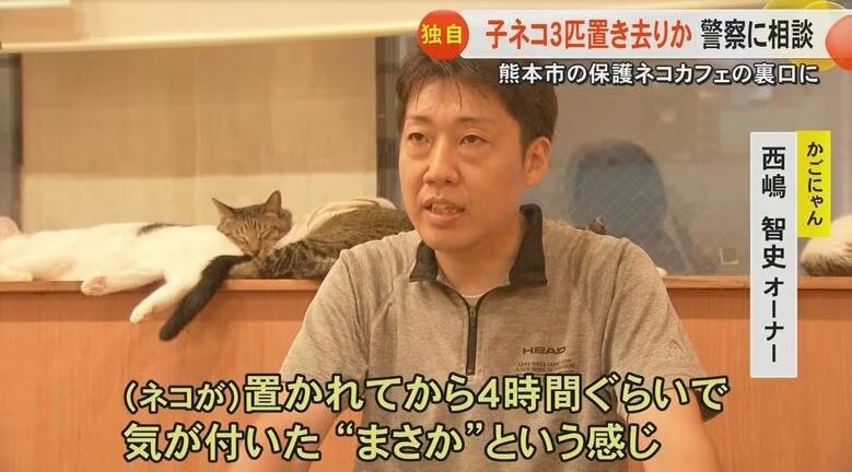 貓咪咖啡廳老闆痛斥棄貓男子行為已經犯罪，呼籲民眾務必透過正規管道尋求收容協助。（圖／翻攝FNN）