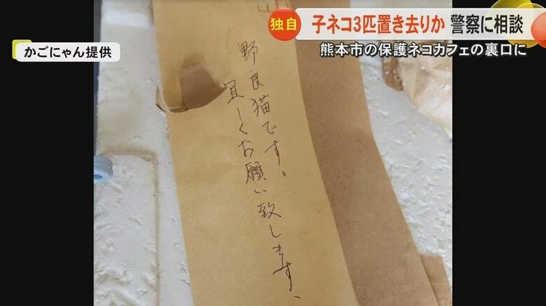箱子上放著一封信，拜託老闆照顧幼貓。（圖／翻攝FNN）