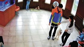 台北市不動產代銷公會理事長王明正（左）與民視前主播林青逸（右）常到訓犬學苑探望愛犬。（讀者提供）