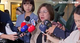 立委陳培瑜受訪。（圖／翻攝畫面）