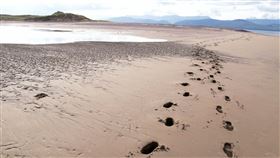 沙灘,海邊,腳印（圖/翻攝自pixabay）
https://pixabay.com/photos/beach-nature-sense-landscape-117255/
