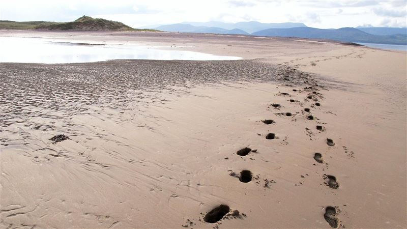 泰國著名觀光景點芭達雅（Pattaya）海灘，日前發生離譜活春宮案，一名34歲的英國籍遊客跟另名當地61歲婦女，凌晨在海邊做出猥褻舉動，被路過民眾撞見。（示意圖／PIXABAY）
