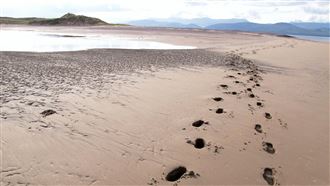 跟同學去游泳再也沒回來…他從此失蹤29年