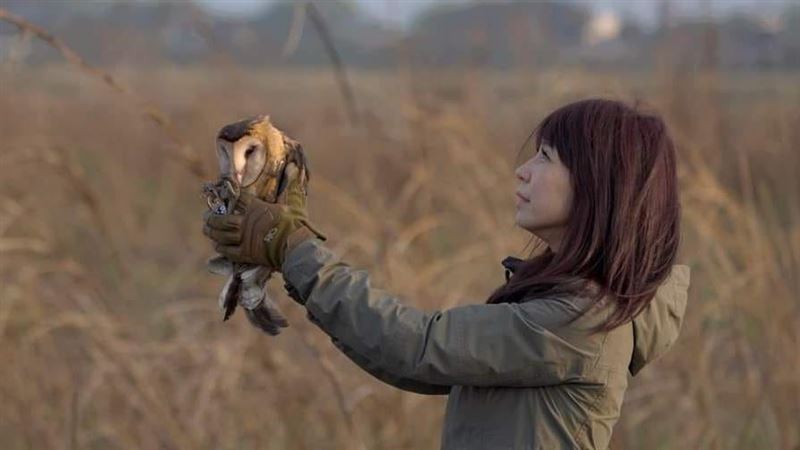 白心儀入圍金鐘2獎項！才獲石虎保育人士
