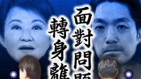 民進黨（圖／翻攝自民主進步黨）