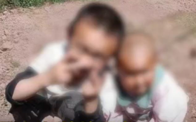 中國一對年幼的兄妹，遭大群虎頭蜂圍攻、被螫數百針而死。（圖／翻攝自微博）