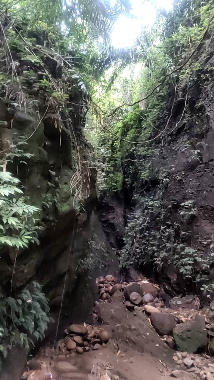 59歲男獨攀東照山時迷路，又不慎墜谷骨折受困。（圖／翻攝畫面）