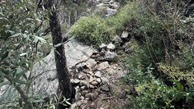 觀察力挑戰，從廣大的荒地中找出一條蛇。（圖／翻攝自Reddit）

