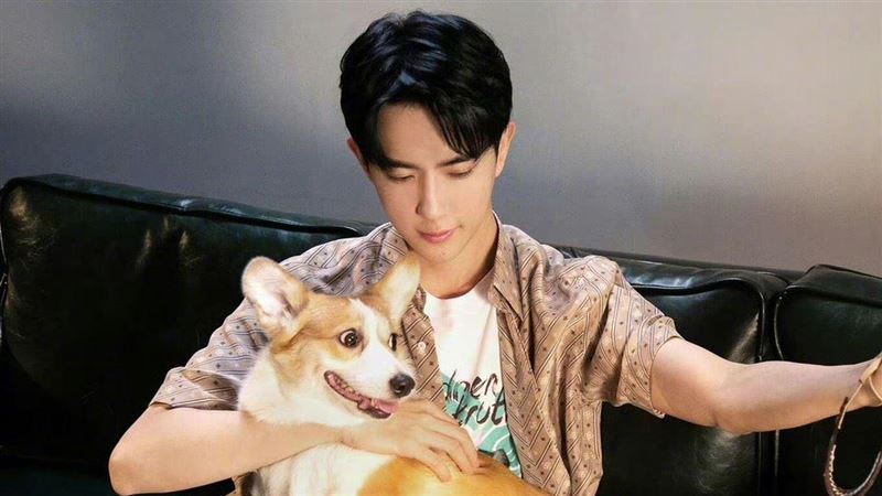 于朦朧留下兩愛犬！女星霸氣回應收養問題