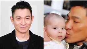 劉德華44年前親吻的1歲男嬰，如今竟變成跨足歌唱、電視劇和電影三棲的「國際巨星」。（圖／翻攝自微博）