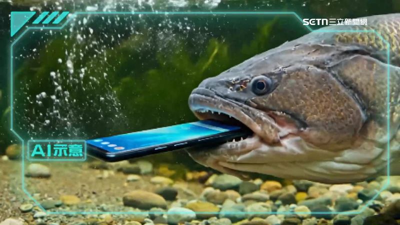 一名男子近拍龍膽石斑,結果手噴血、手機也被吞下肚。(圖/AI生成)