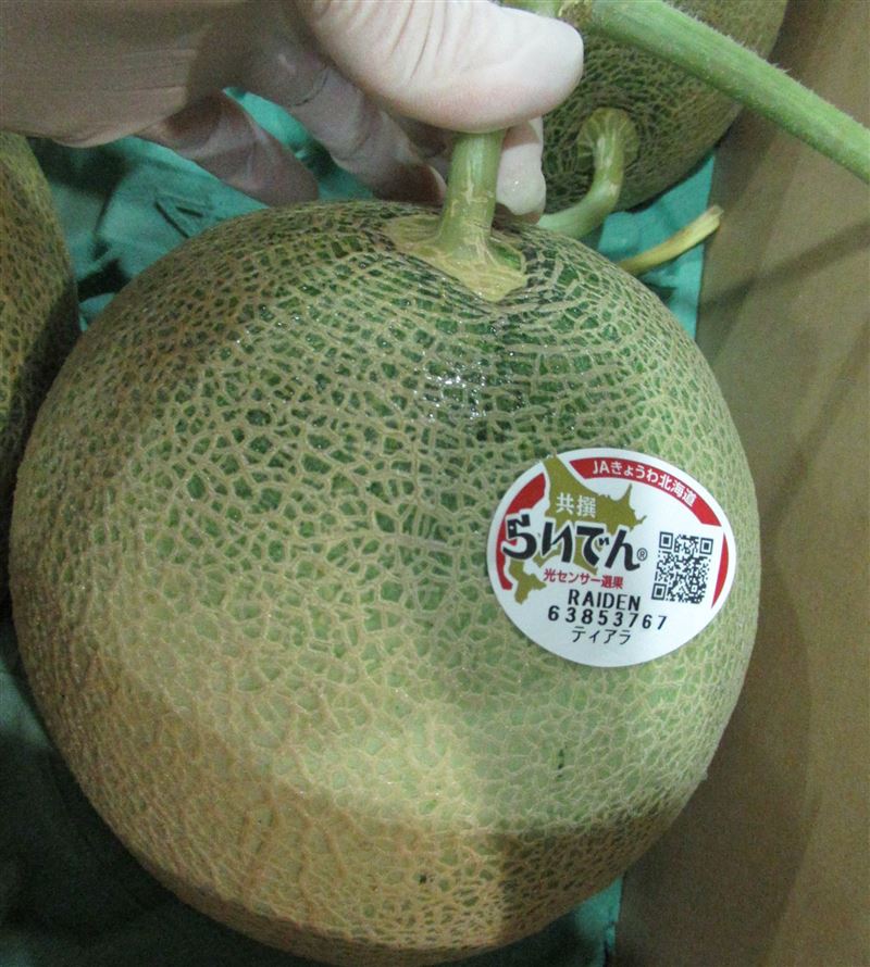 洋珍國際有限公司自日本進口「鮮蜜瓜(FRESH MELON)」檢出農藥特安勃殘留含量不符規定。（圖／食藥署提供）