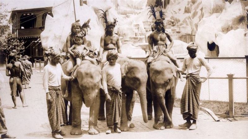 一段歐美不願提起的歷史！人類動物園曝光
