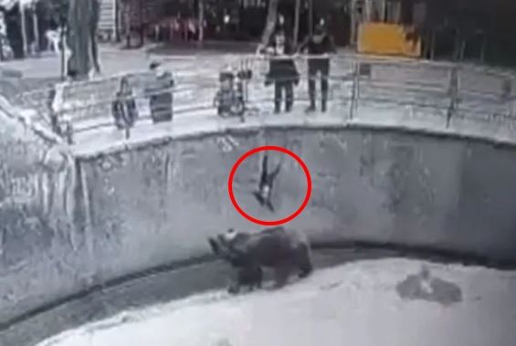 一名7歲女童遭母親持刀砍死，警方發現，這名母親就曾將女兒丟入動物園的棕熊舍，當時女童差點活生生被熊咬死。（圖／翻攝自X）
