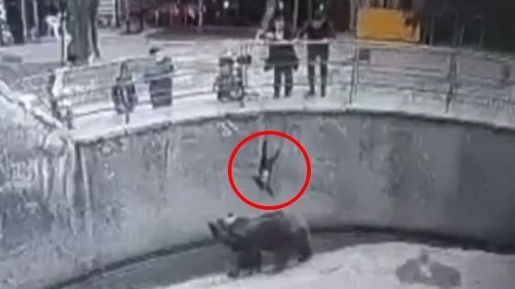 母曾將女兒丟進棕熊舍　3年後仍遭媽刺殺